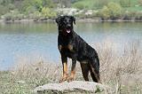 BEAUCERON 626